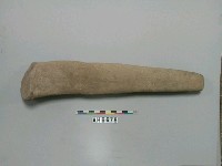 藏品(長棒形器？)的圖片